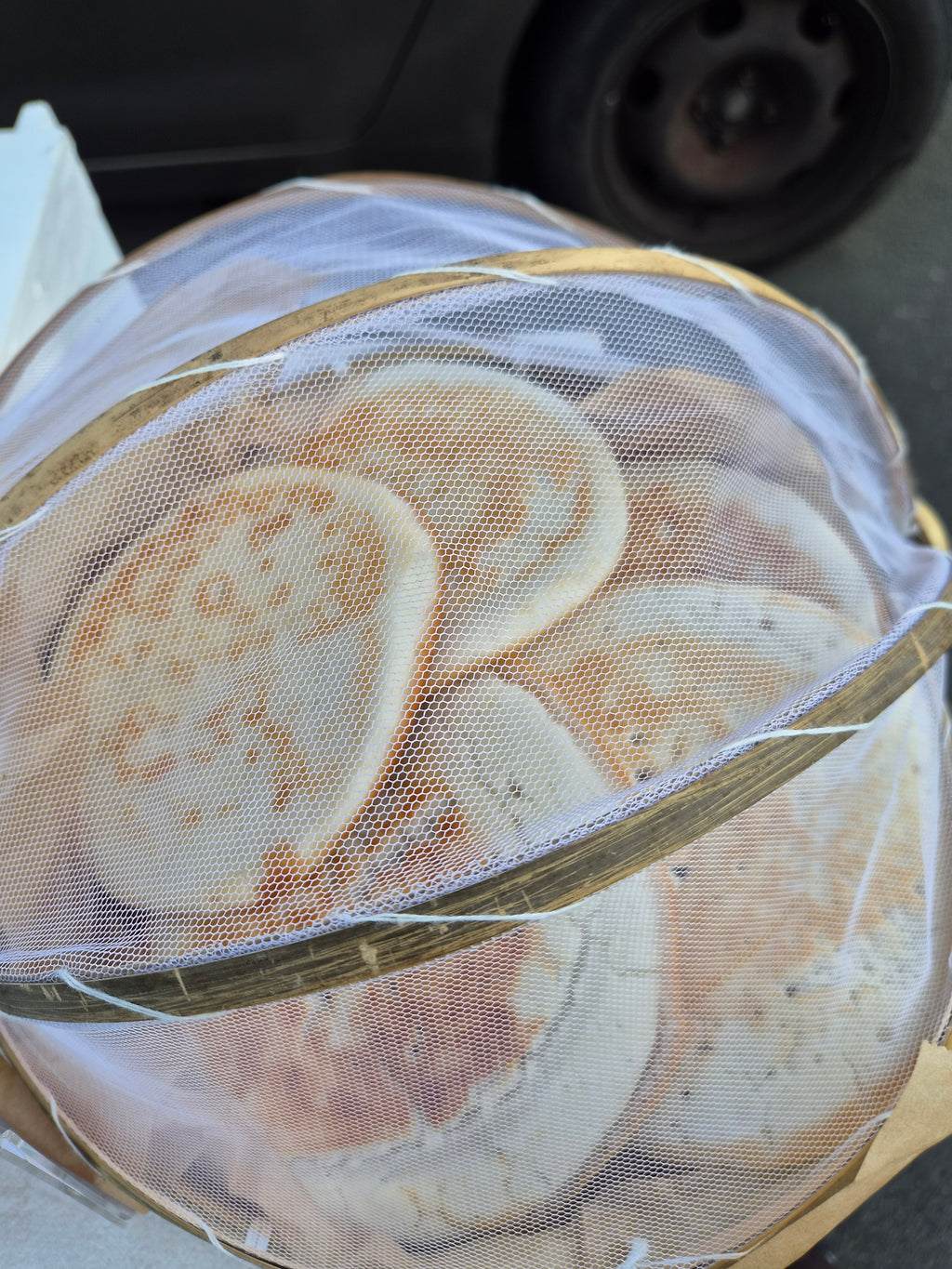 Box 10 zikatrés